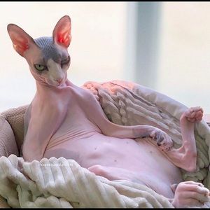 Meet your Posher, James